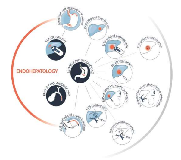 Andrew Moon tweet media