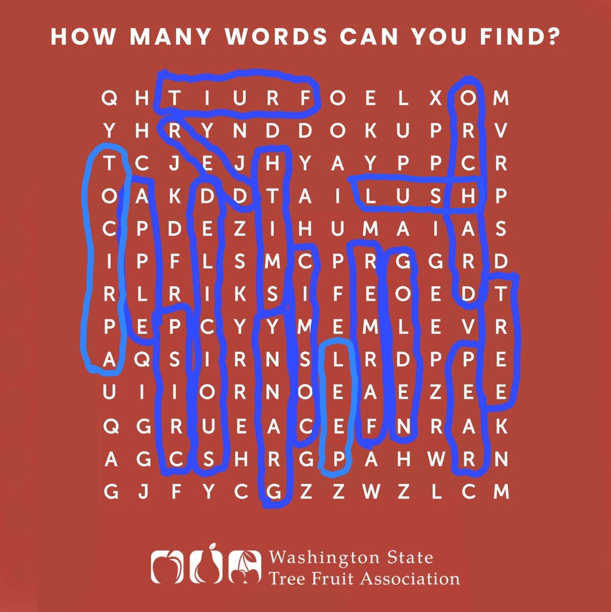 FombaJanis's tweet photo. @WATreeFruit Found 16 words! https://t.co/Mzmc4uaxtQ