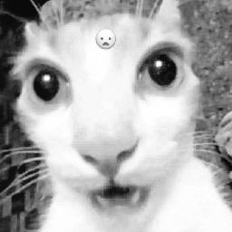 tsu★!? :3 tweet media