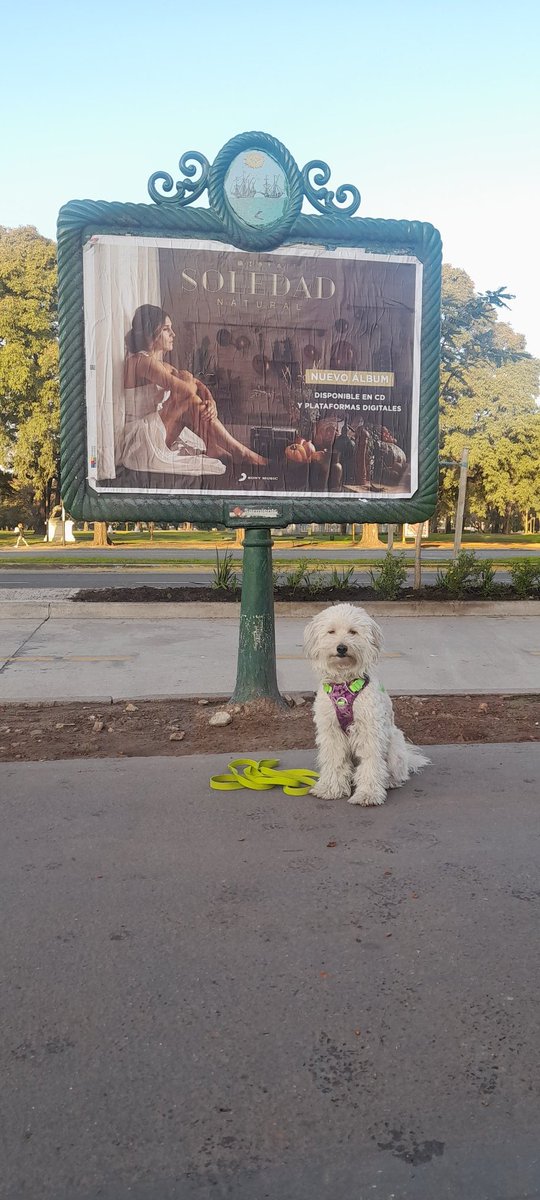 melinsole's tweet photo. @sole_pastorutti Mayu ya anda por el barrio buscando los carteles de la nueva función 😄 https://t.co/DpanIT1jmC