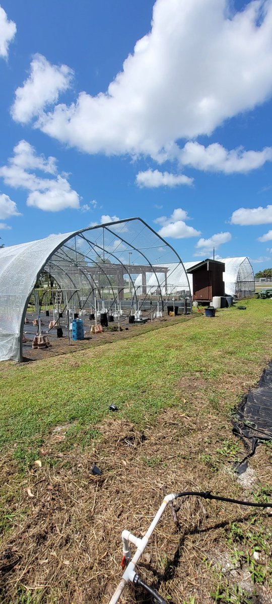 The EE team and students from <a href="/ichighschool/">Island Coast High</a> were very busy today setting up Aluminet shade cloth to get ready for this year's growing season! 
#LeeSchoolsEE #LoveLeeSchools