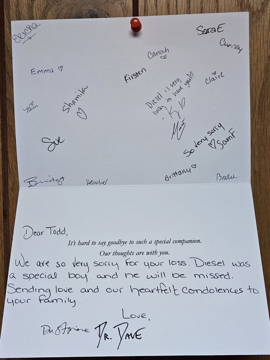 This is exactly why my dogs go to Williamsport West Veterinary Hospital. They CARE !