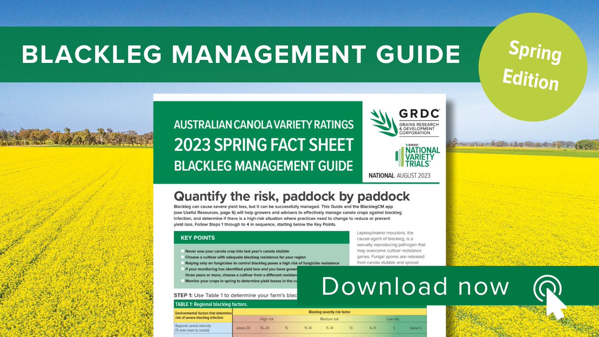 Blackleg Management Guide: Spring edition

Blackleg can cause severe yield loss, but it can be successfully managed. This Guide and the BlacklegCM app will help growers and advisers to effectively manage canola crops against blackleg infection.

Download: bit.ly/3HnFLrv