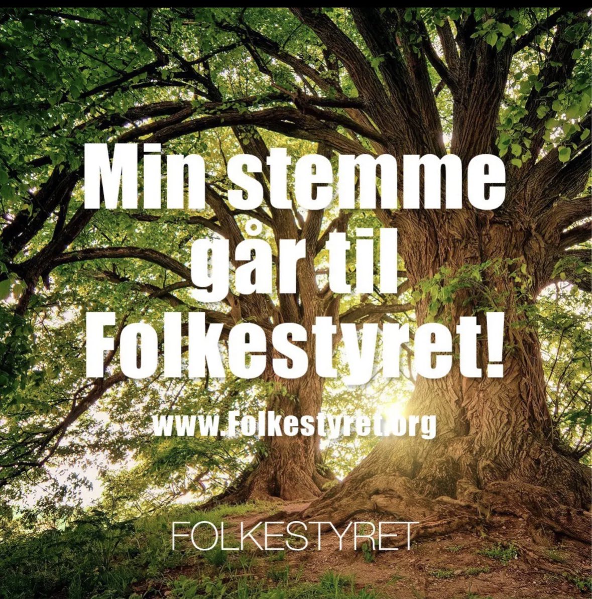 Folkestyret (@folkestyret_org) on Twitter photo 