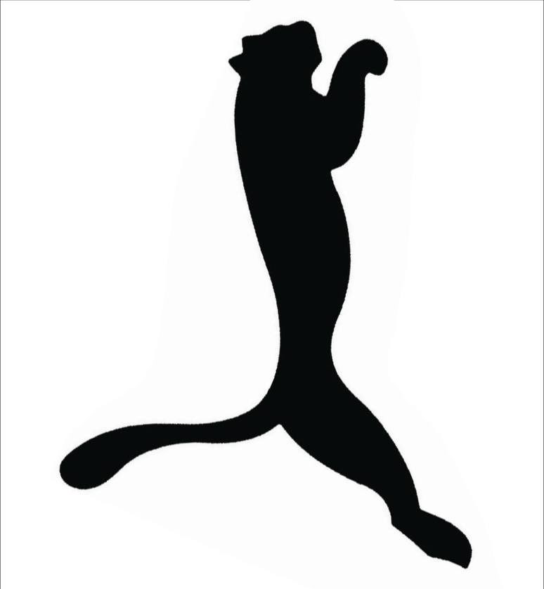 Наша киця 🤝 <a href="/PUMA/">PUMA</a>