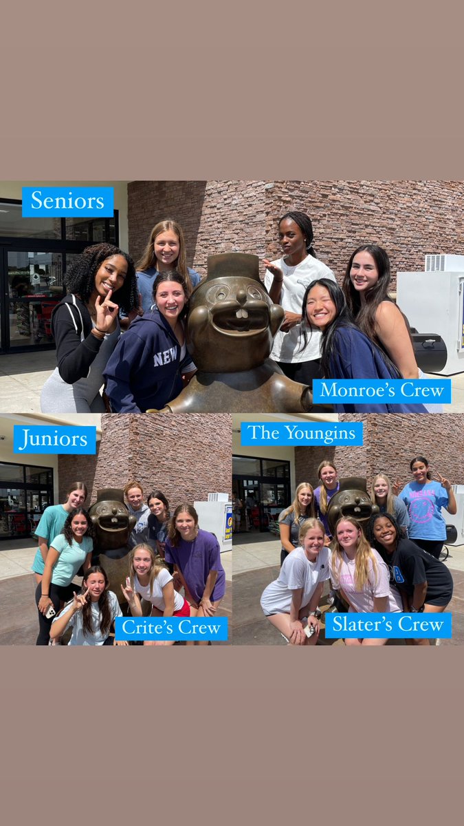 Taylor Volleyball tweet media