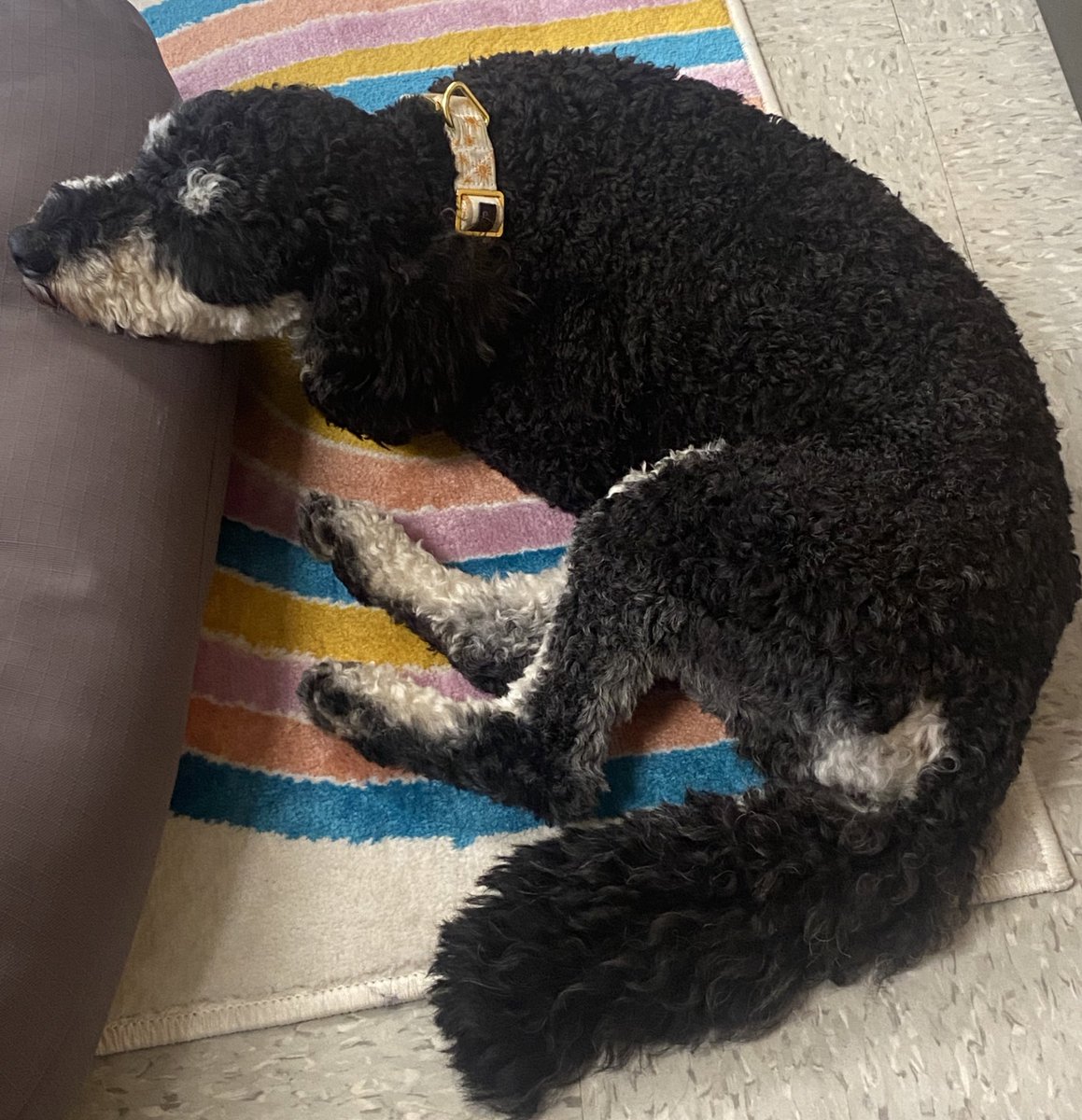 There’s no tired like end of the school day tired!@Kings_Schools <a href="/JFBKnights/">J.F. Burns Elem</a>