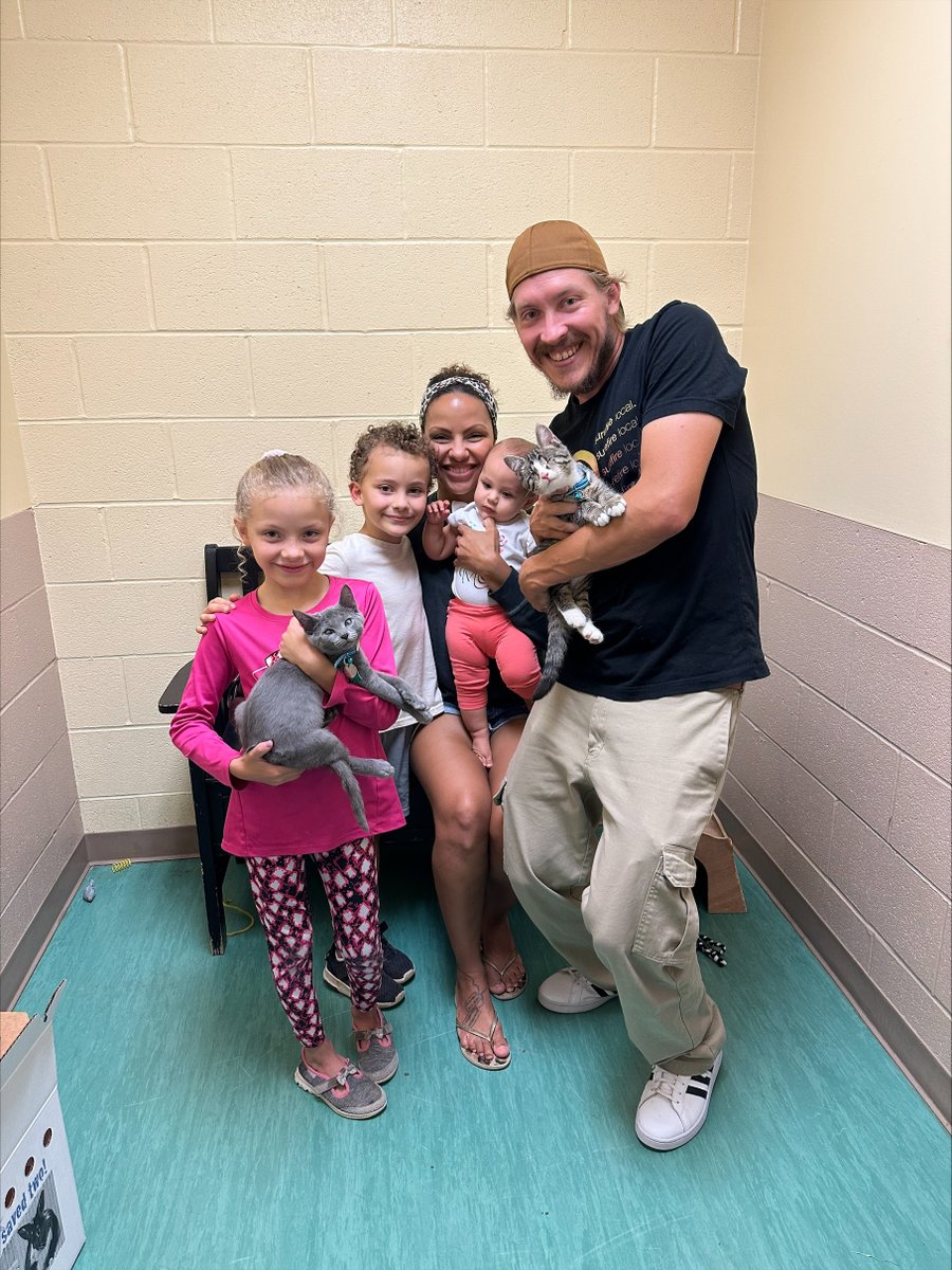 Animal Friends tweet media