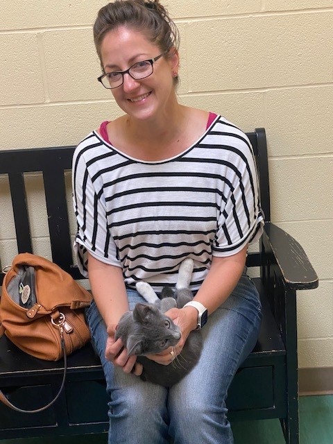 Animal Friends tweet media