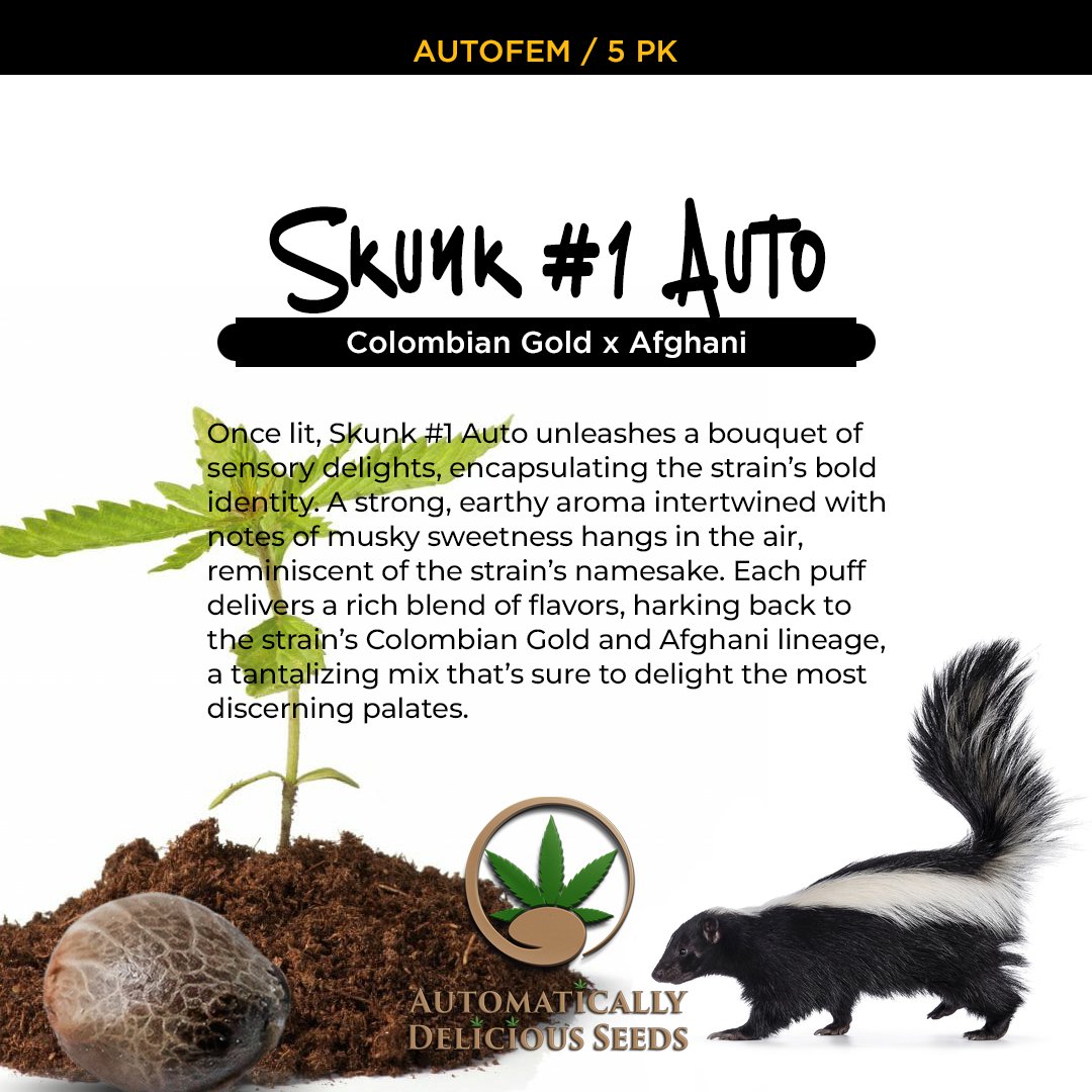 AutoDelish's tweet image. Skunk #1 Auto offers an extraordinary journey, from cultivation to consumption. Experience for yourself: bit.ly/auto-delish-se…

#Cannabis #CannabisCommunity #cannabislife #420friendly #cannabisgrowers #seedsherenow #autodelish
