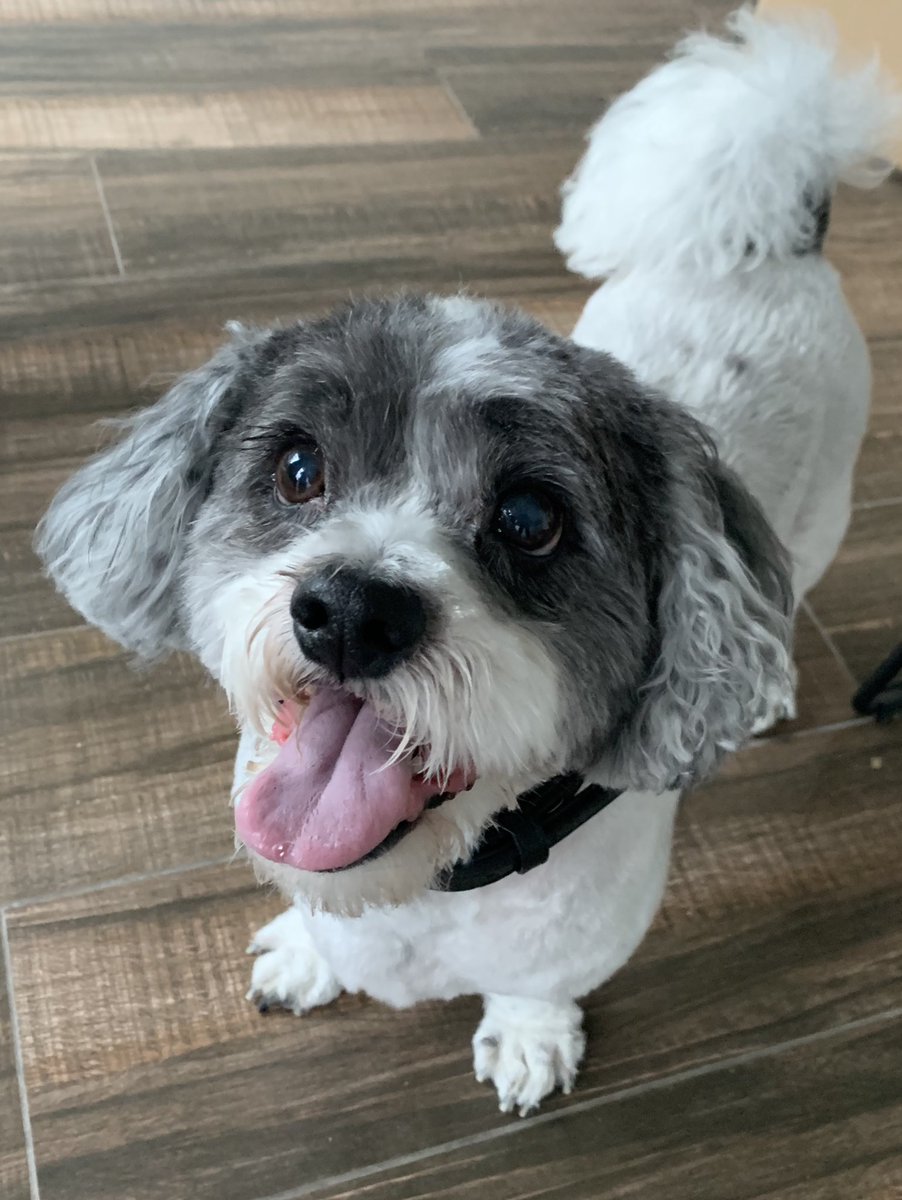 Jackie Brown tweet media