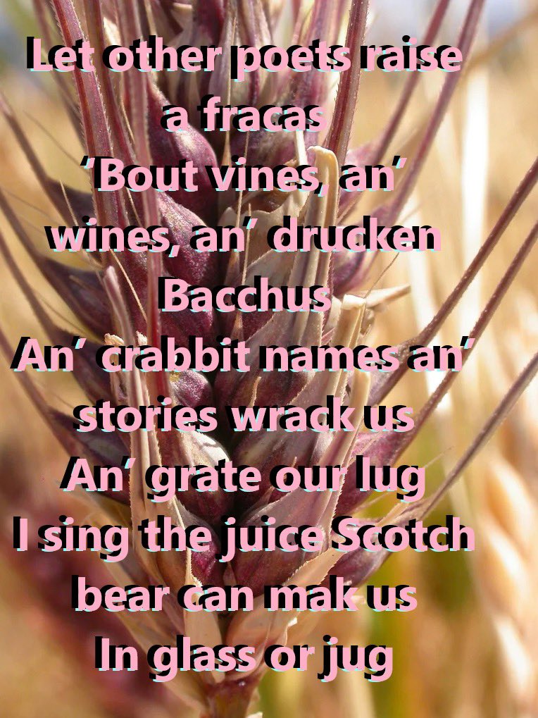 Botany Shitposts tweet media