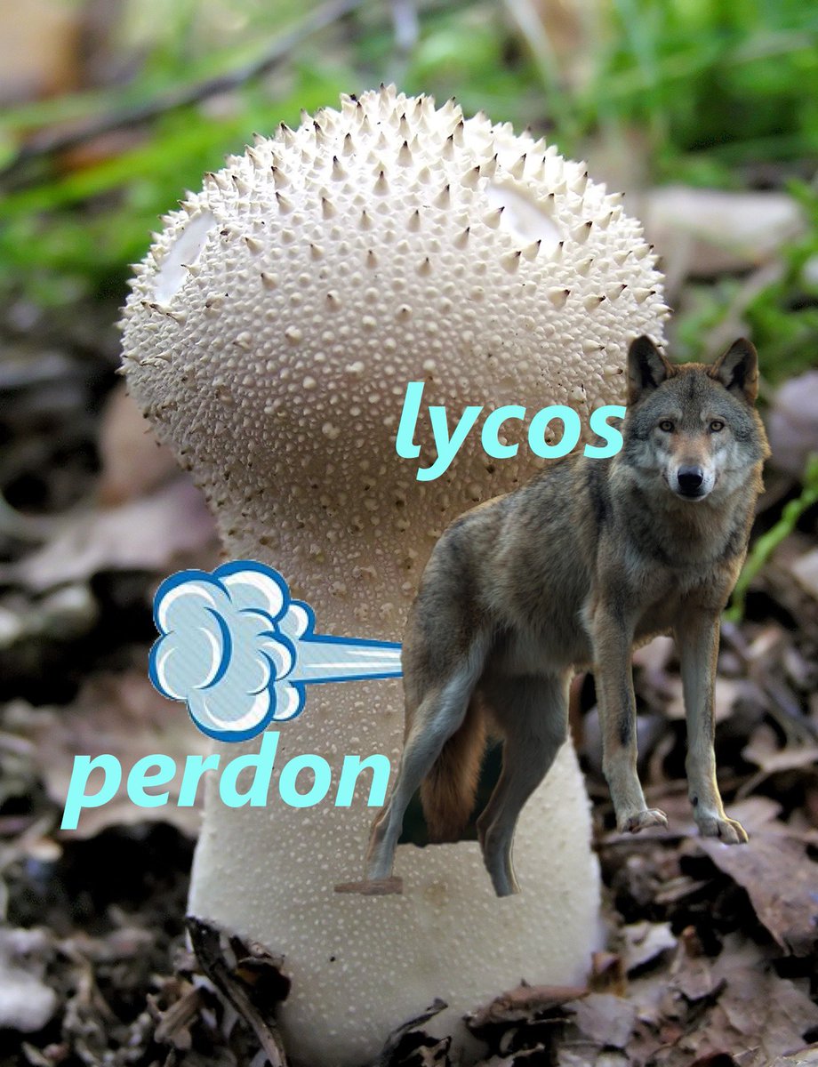 Botany Shitposts tweet media