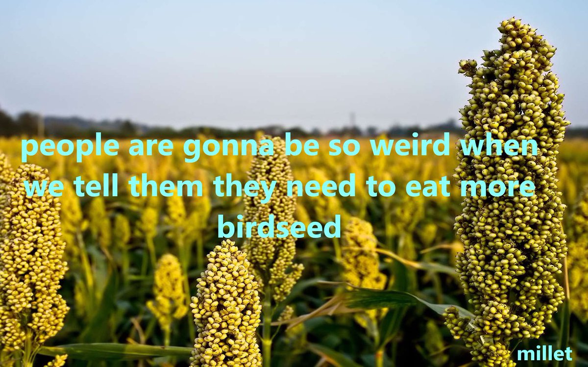 Botany Shitposts tweet media