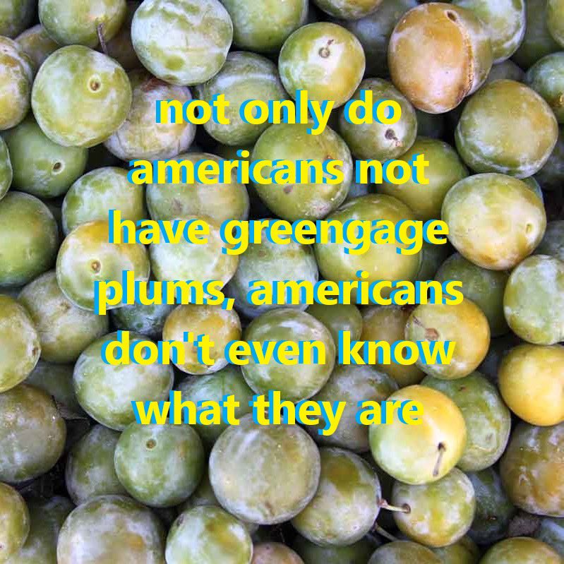 Botany Shitposts tweet media