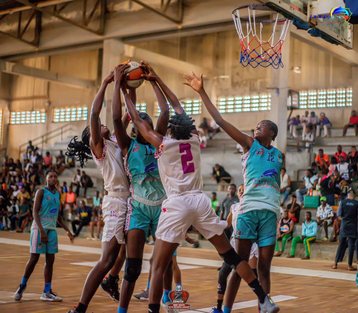 BballNaija's tweet photo. A low scoring game for both Dolphins Basketball and MFM. 

FT: Dolphins 35-41 MFM 

#ZenithWBL https://t.co/cdNtsADfZS