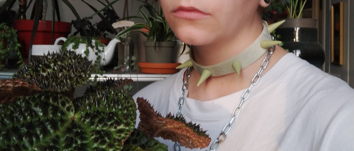 ProuteMaster's tweet image. Cc je suis juste niveau argent en ce moment donc je remets ds vos TL que je suis ouvert aux commandes pr mes colliers etc jsp faire la com autour dsl