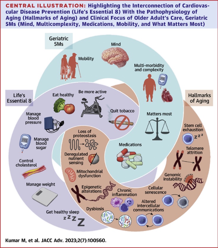 Life's Essential 8 - How to Manage Weight Fact Sheet