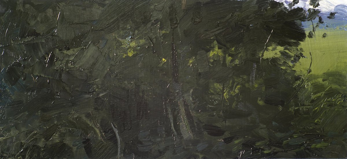 Gud_Ande's tweet photo. 20230822 17:40
Evening by the old railway embankment. Shadows.
#pleinair #oilpainting #paintedfromlife #fineart #landscapepainting #cameralucida #figurativeart #august #sunset #foliage https://t.co/FUIKnrE61w