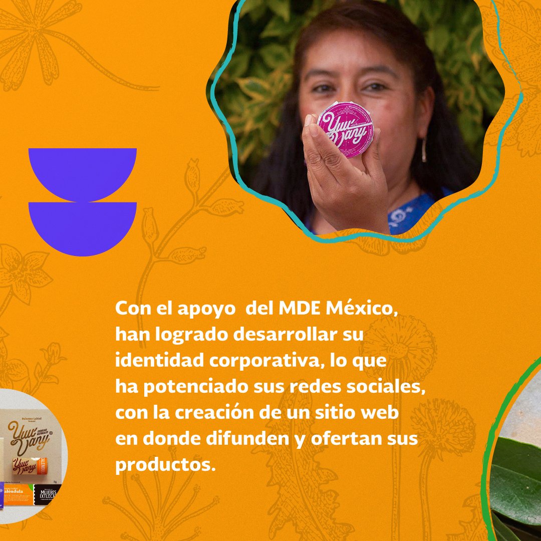mde_mexico's tweet photo. Este es un gran paso para el crecimiento y consolidación de su proyecto productivo. ¡Enhorabuena!
Te invitamos a conocer más de los #BeneficiariosDelMDE en: https://t.co/6HZnL7RbvA.
@RainforestAllianceMX @BancoMundialMexico

#MujeresyBosques #NuestrasManosSostienesLosBosques https://t.co/z2POYYg2LX
