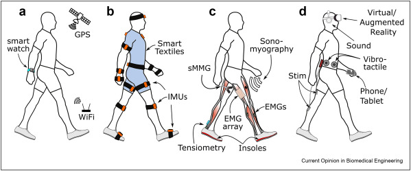 UW_NMBL's tweet photo. In a new publication with @UW_BADGER_Lab, we envision the future of #wearable sensors for understanding and influencing human movement in ecological contexts. Free access until Oct 10!  https://t.co/iTJRK7tdOH https://t.co/6xu0KvUtU9