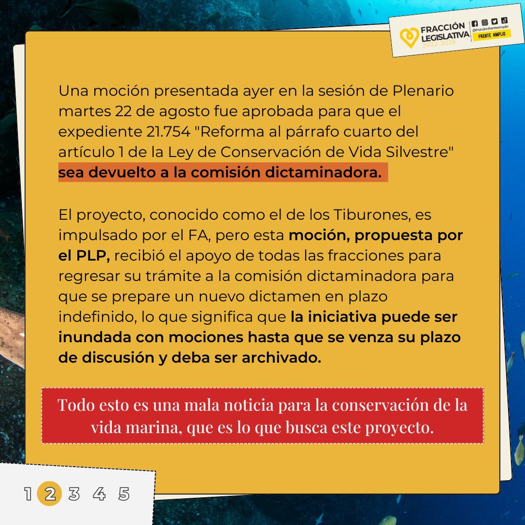FraccionFrente's tweet photo. ¿Qué pasó ayer en Plenario con el proyecto para proteger a los Tiburones? 🦈 

Todas las fracciones votaron a favor de una moción del PLP que devuelve el proyecto 21.754 para proteger las especies marinas en peligro de extinción, sin plazo definido. https://t.co/kZgtcIPjTc