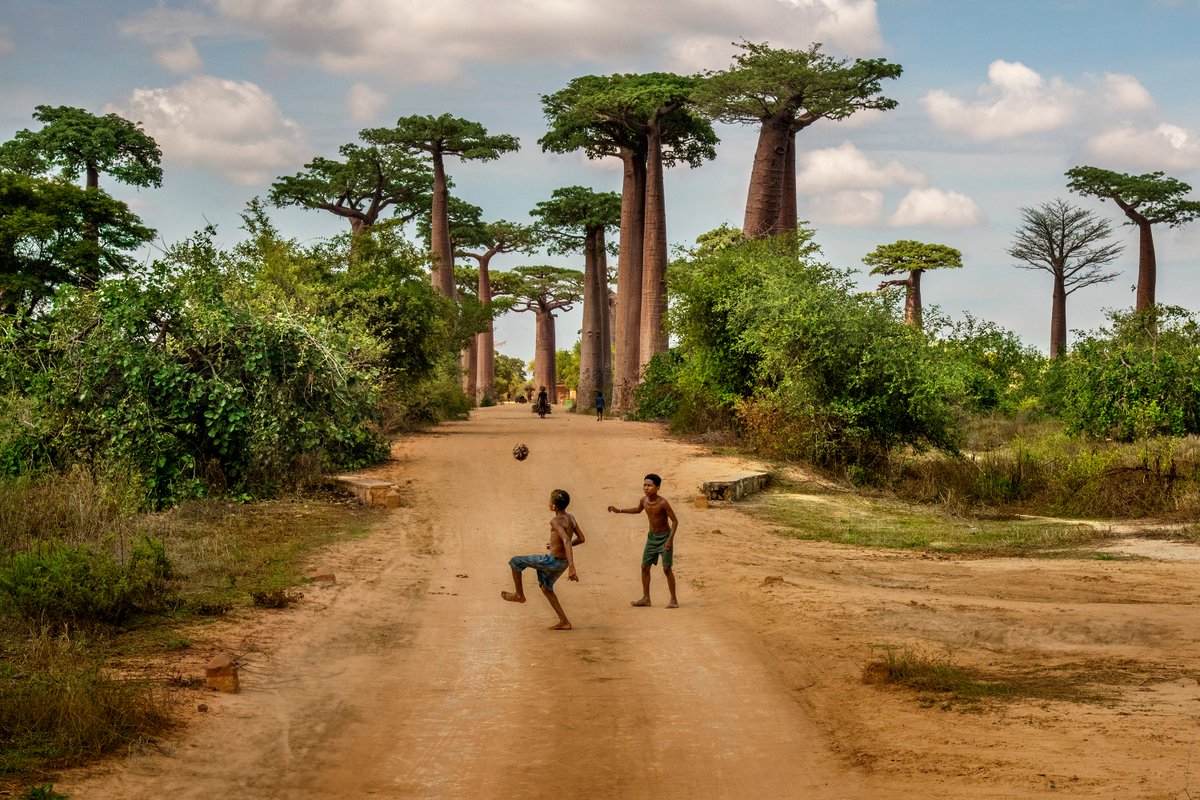 McCurryStudios's tweet image. Kids playing on Baobab Avenue, Madagascar, 2019