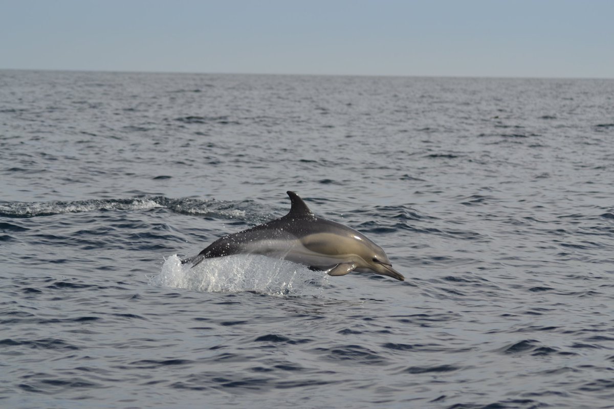 Harry Clark tweet media