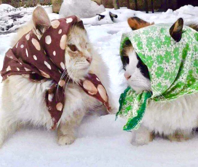 “I was expecting the old window fall so this surprised me. What about you, Svetlana?”