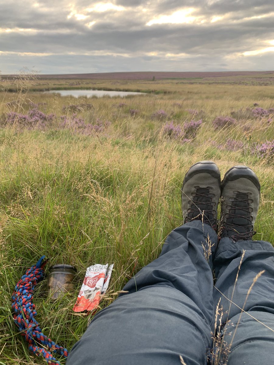tpltravelled's tweet photo. An evening spent on the bed of the old Bar Brook reservoir getting savaged by midge whilst waiting for the tinkle of the collar bell of an approaching @MRSearchDogsEng search dog. Pint of @BradfieldBrew Farmers and a packet of beef @Piperscrisps in lieu of piriton afterwards 😉🍺 https://t.co/ypMSNRMqnt