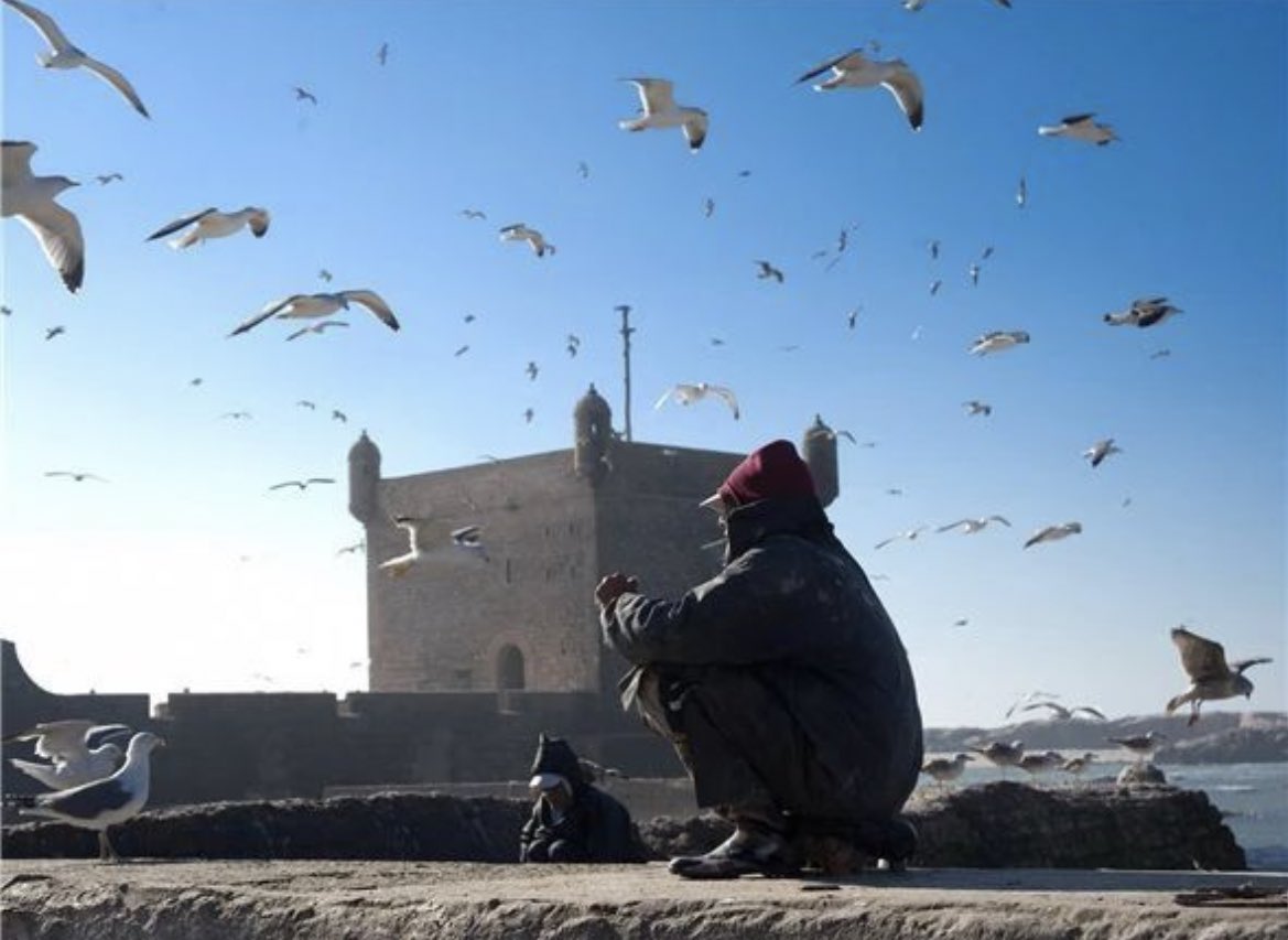 MoorishTimes's tweet photo. • « Fisherman in Essaouira », Morocco by L. Kudelska https://t.co/6QDCisOArv