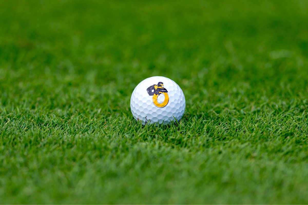 Btown_Golf's tweet photo. Birds of a feather, flock together. All Student Athlete/Parent Guardian Mtg this evening 6:30 pm in the Auditorium https://t.co/NJIwcXyWLn