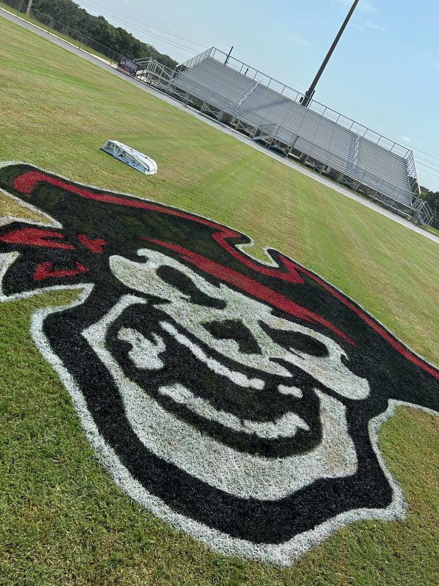 SidelinesFS's tweet image. something about a logo just hits 🎶 
#PascoHS