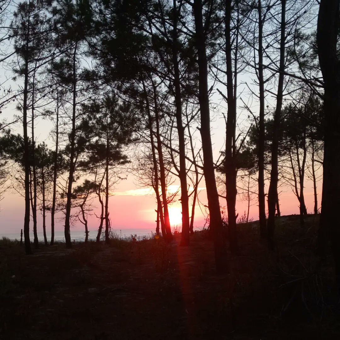 lulcere's tweet photo. Plaisir simple de la vie...magnifique couché de soleil.
#Pylasurmer https://t.co/1pYzrDZdHV
