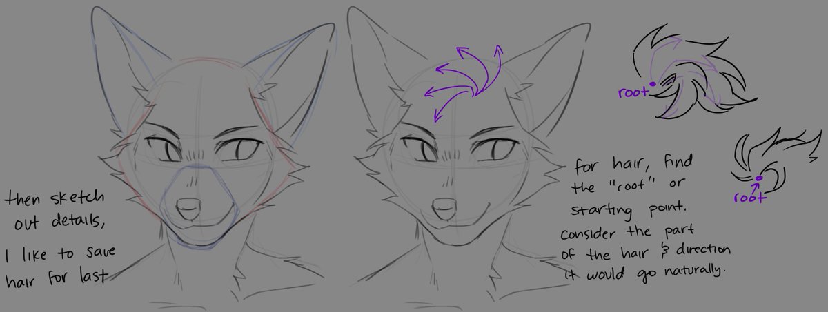captynz's tweet photo. redid my old head/muzzle tutorial! 

things are still mostly the same (+ honestly there's a lot of intuition at play here, there's a lot more I could go into) this isn't the only way to draw muzzles/faces of course, just how I do it! https://t.co/4daIM8OUE6