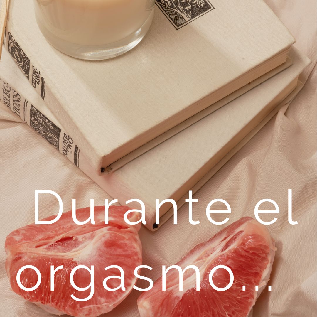 REGALASEXO tweet picture