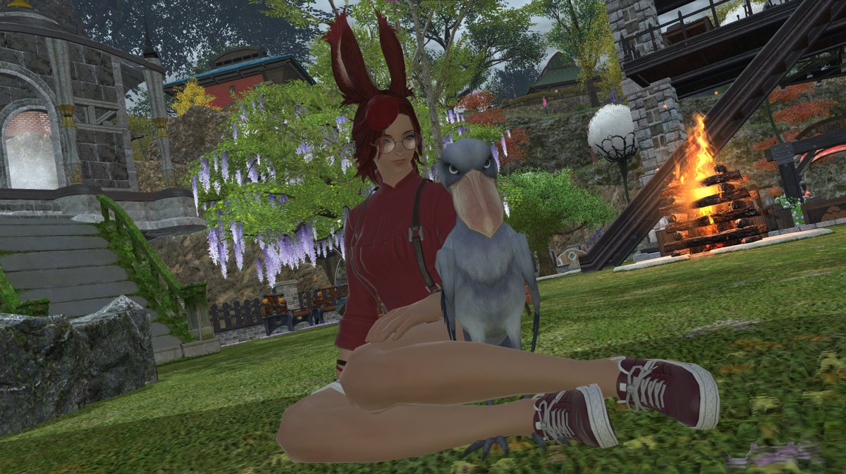 ActualVision_'s tweet photo. The next art project might include a bnuuy and shoebill.🐔🐇 https://t.co/f6PUb9Lqbj