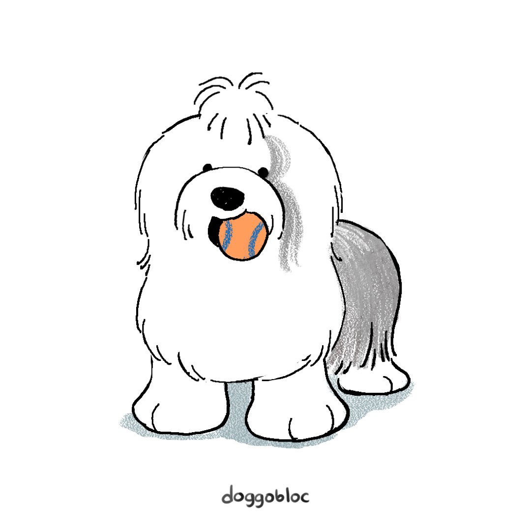 #doggust day 23 Old English Sheepdog
🐶: @Rocco_roni who seems to like ball a lot!!

#doggust2023 #dogdrawing #dogartist