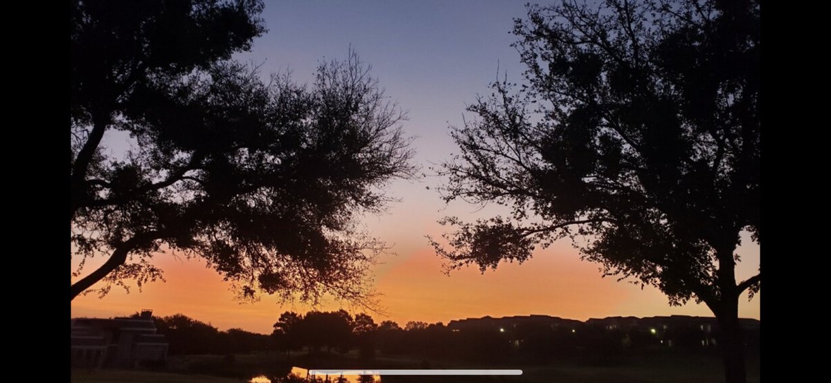 Mark Herrera tweet media