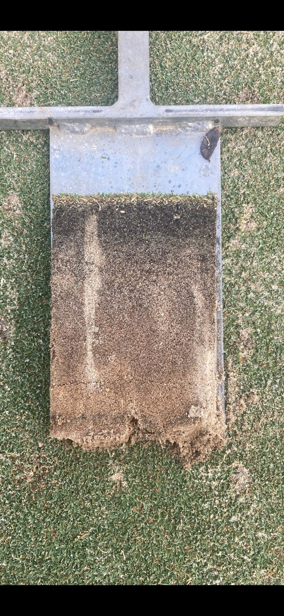 Mark Herrera tweet media