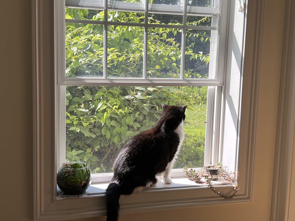 Thank you, friends. Nose taps to you all. It's been a lot of fun tweeting with you. Please enjoy a treat today in my honor, and keep fighting the good fight!