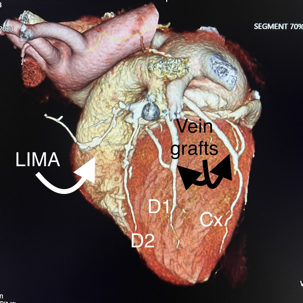 Samantha Wasniewski tweet media