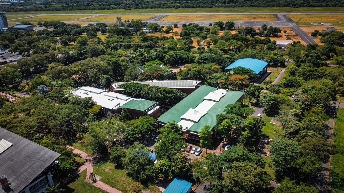 Unitropico's tweet photo. Nuestro campus; un remanso de paz y belleza natural, donde la vida silvestre se mezcla con el paisaje, creando un oasis de serenidad propicio para el conocimiento.

Unitrópico es de todos, y para todos💚 
Unitrópico es Colombia🇨🇴 https://t.co/L7AnoFZnfy