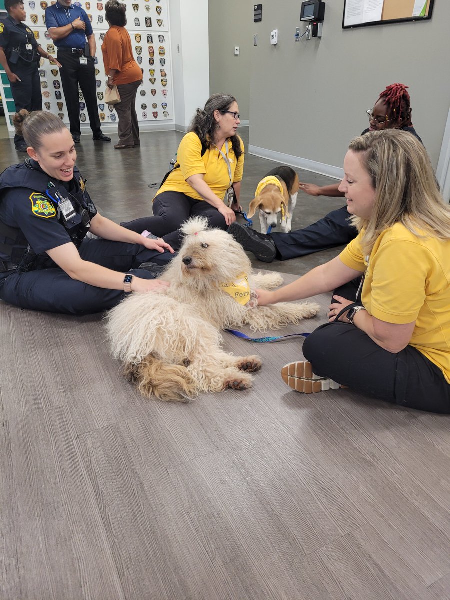 HandinPawAL's tweet photo. Hand in Paw Therapy Teams loved sharing some furry stress relief with our friends in blue 💙
#handinpaw #animalassistedtherapy #therapydog #uabpolice #uab #mentalhealthinitiative #stressrelief https://t.co/pY5K4MU3hy