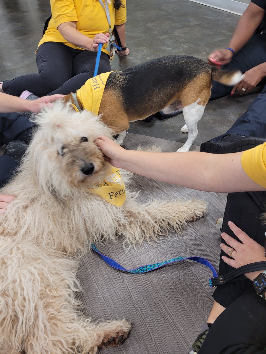 HandinPawAL's tweet photo. Hand in Paw Therapy Teams loved sharing some furry stress relief with our friends in blue 💙
#handinpaw #animalassistedtherapy #therapydog #uabpolice #uab #mentalhealthinitiative #stressrelief https://t.co/pY5K4MU3hy