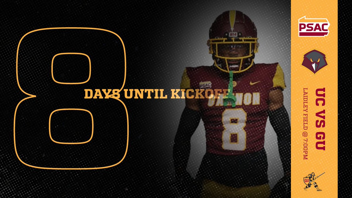 FootballGannon's tweet photo. T - 8 Days until the KNIGHT SHOW!

📍 Charleston, WV
🕐 7:00PM
📅 August 31, 2023

#GetThere #KnightShow https://t.co/Dd8aNhnR73