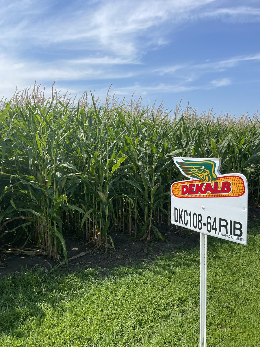 Jim McDermott tweet media