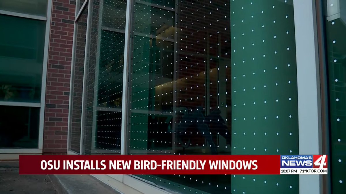 OSU Installs Bird-Friendly Window Tint!

Dots placed 2" apart makes glass visible to birds &amp; has been shown to reduce collisions by up to 70% in some cases.

Hear Dr. Tim O'Connell &amp; Dr. Scott Loss share with Oklahoma's News 4 youtu.be/VpzwV7JdXtw

<a href="/Seiurus/">Tim O'Connell</a> <a href="/LossLabOSU/">Loss Ecology Lab</a> <a href="/kfor/">KFOR</a>