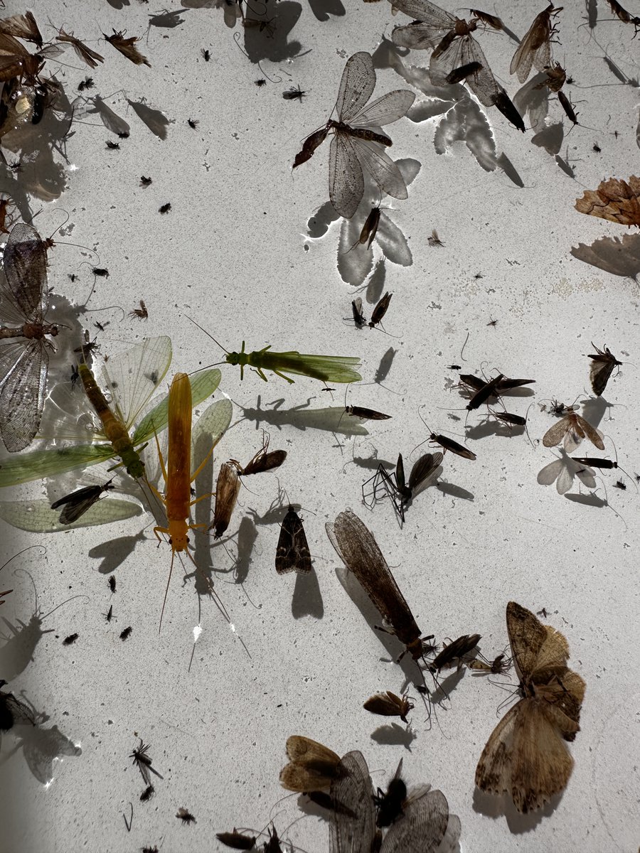 Brian Smith tweet media