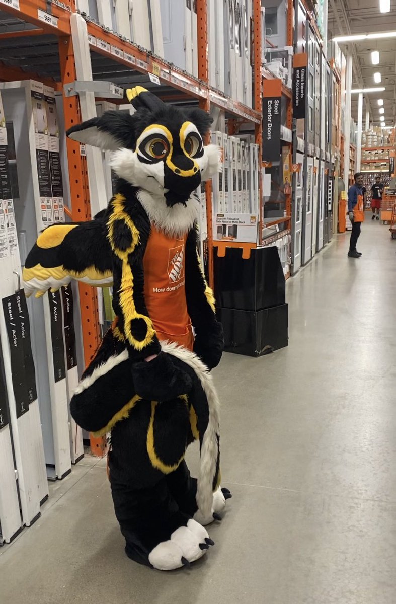 BirbsWings's tweet photo. Someone just walked into the store and asked “Where’s the PP?” 

It took every ounce of my existence not to burst out laughing 
(They meant PPE 🦜)
#furry #fursuit https://t.co/OaqM2oaHQp